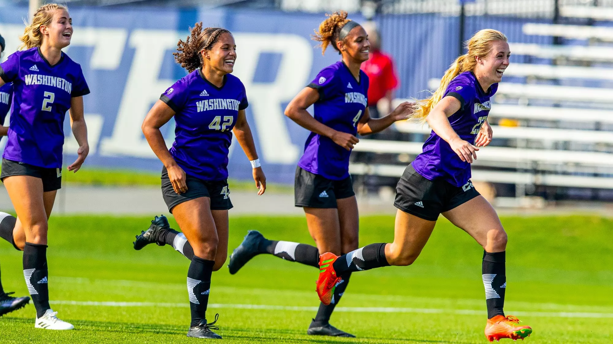 案例分析 案例分析